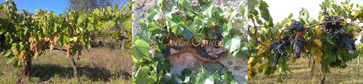 cantina ortaccio